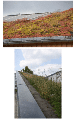 107....Eksempler på avslutning av grønt tak langs kanten av taket.
